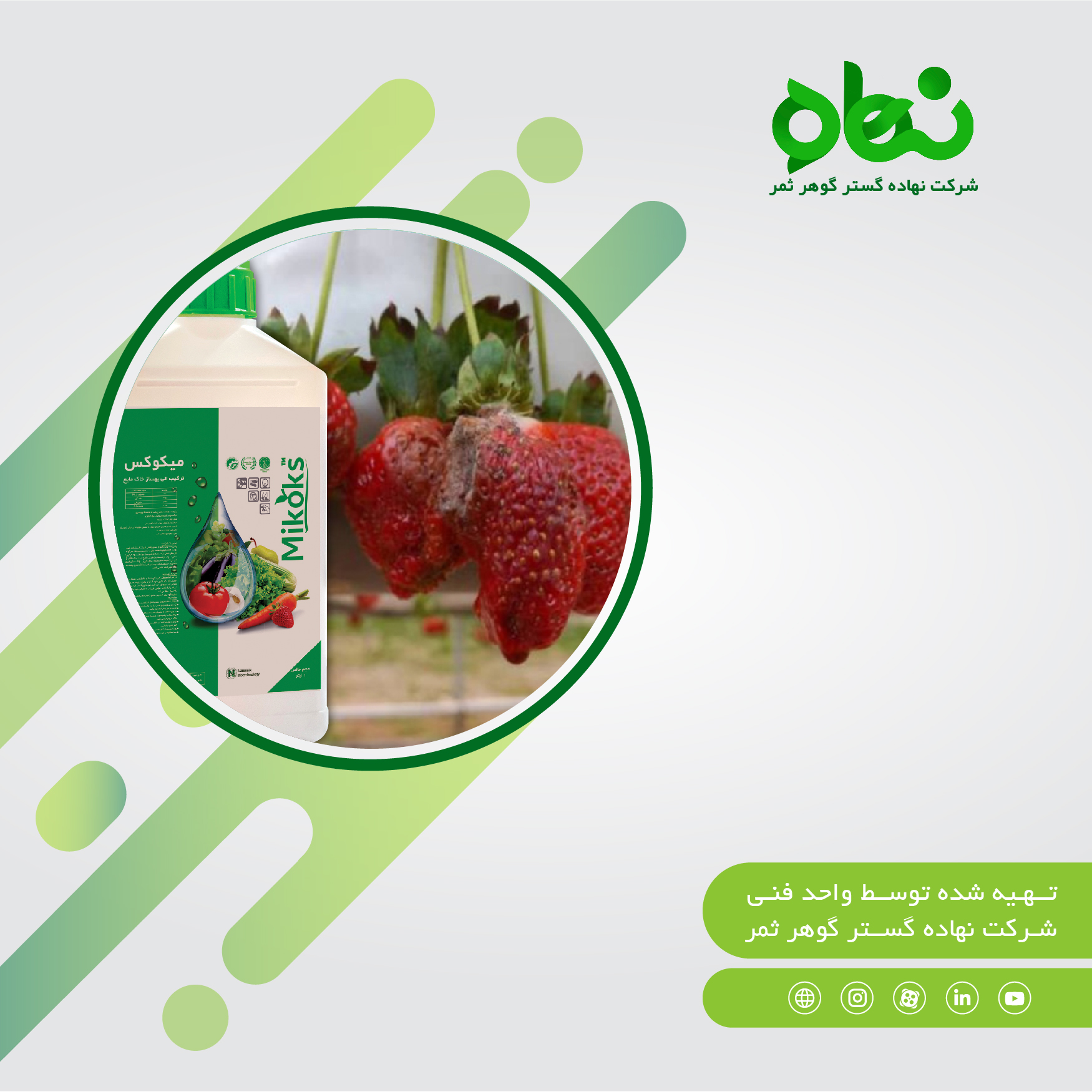 Introducing the organic composition of mikoks